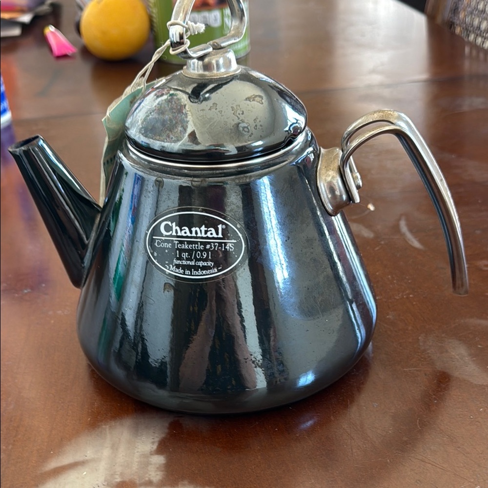 Black Stainless Steel Tea Kettle